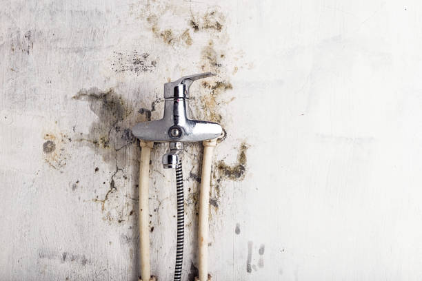 Best Water Damage Restoration  in Hometown, IL