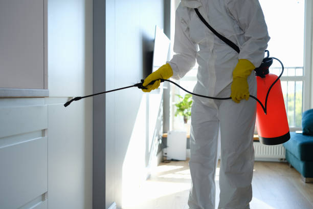 Best Mold Cleaning Services  in Hometown, IL