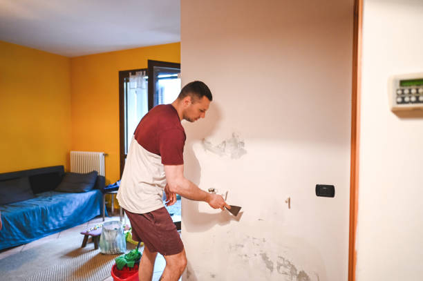 Professional Mold Removal in Hometown, IL