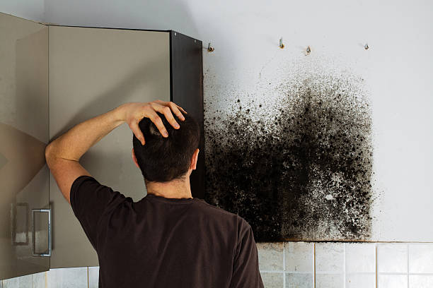 Best Crawl Space Mold Removal  in Hometown, IL